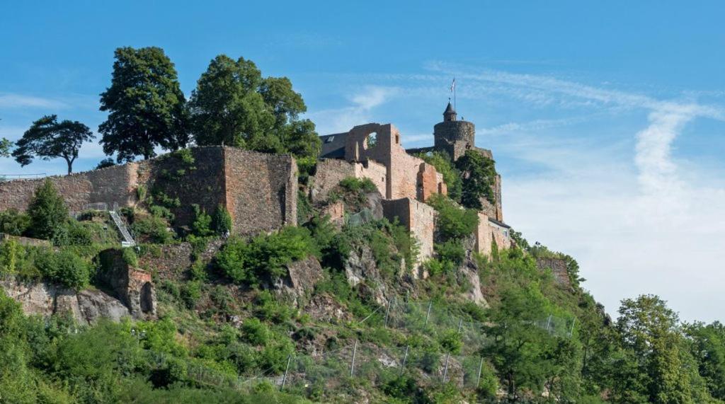 Luxurioese Ferienwohnung Mit Wellness Oase Saarburg Buitenkant foto